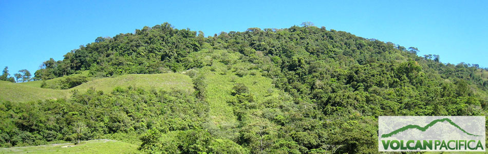 The fields of Volcan