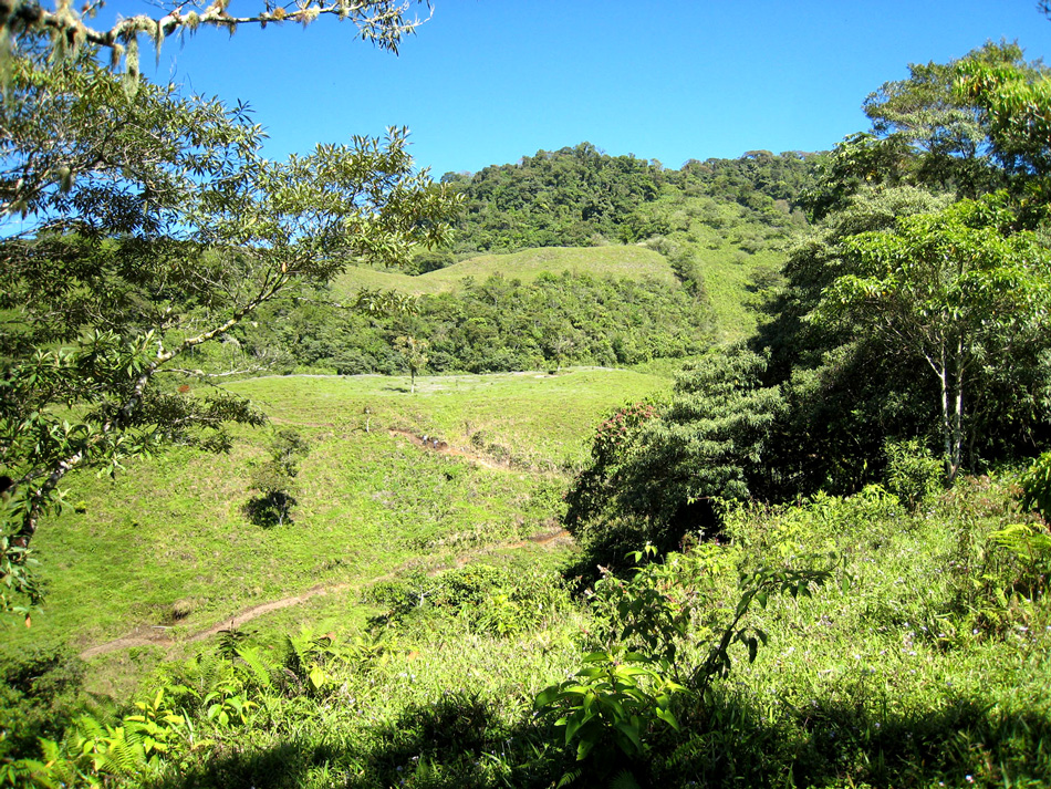 Volcan Pacifica, western hillside, February 2008