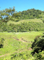 Western hillside, February 2008