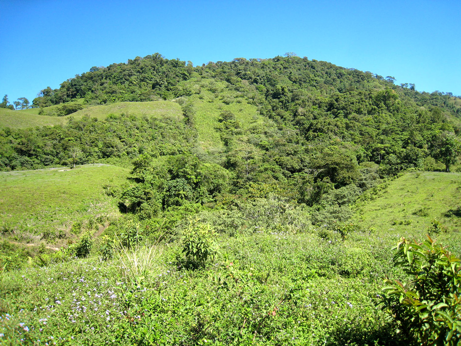 Facing the western hillside, February 2008.