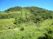 The land at Volcan Pacifica, Gallery section