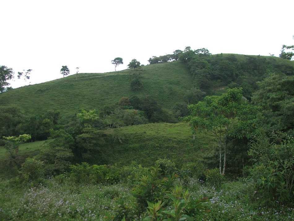 Volcan Pacifica, left hillside, February 2008