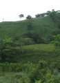 Volcan Pacifica