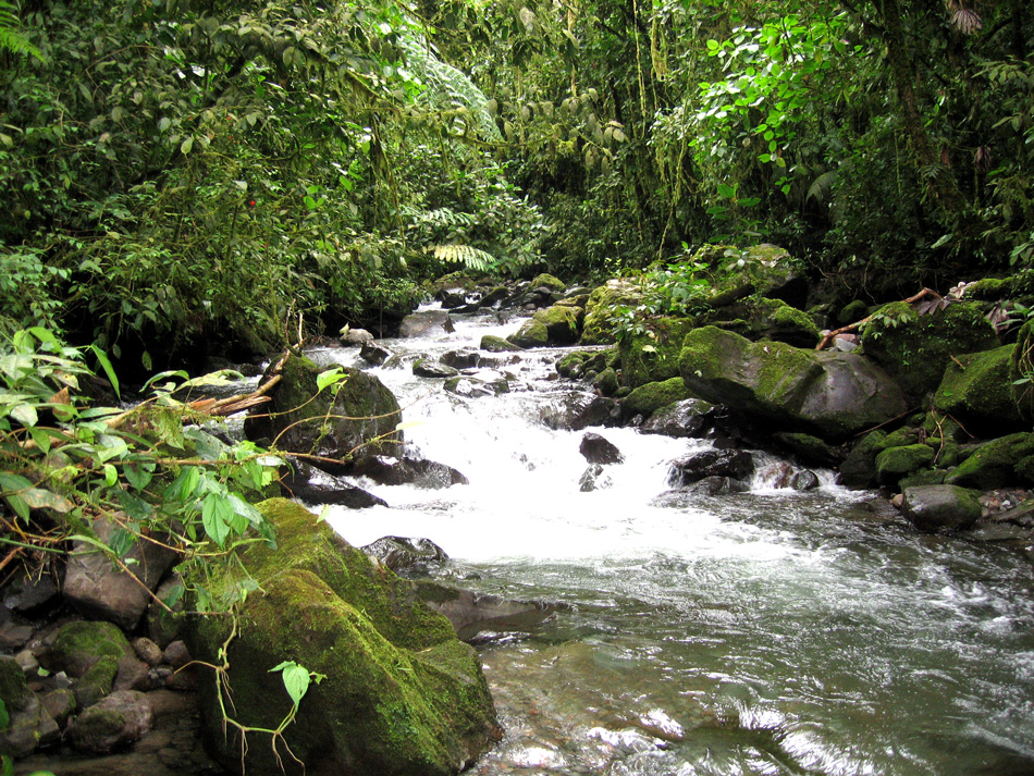 River by the entrance road to Volcan Pacifica