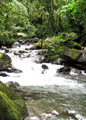 River by the entrance road