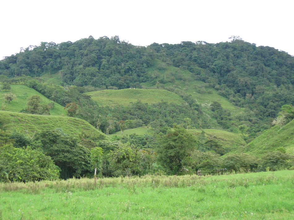 Volcan Pacifica, left hillside, February 2008