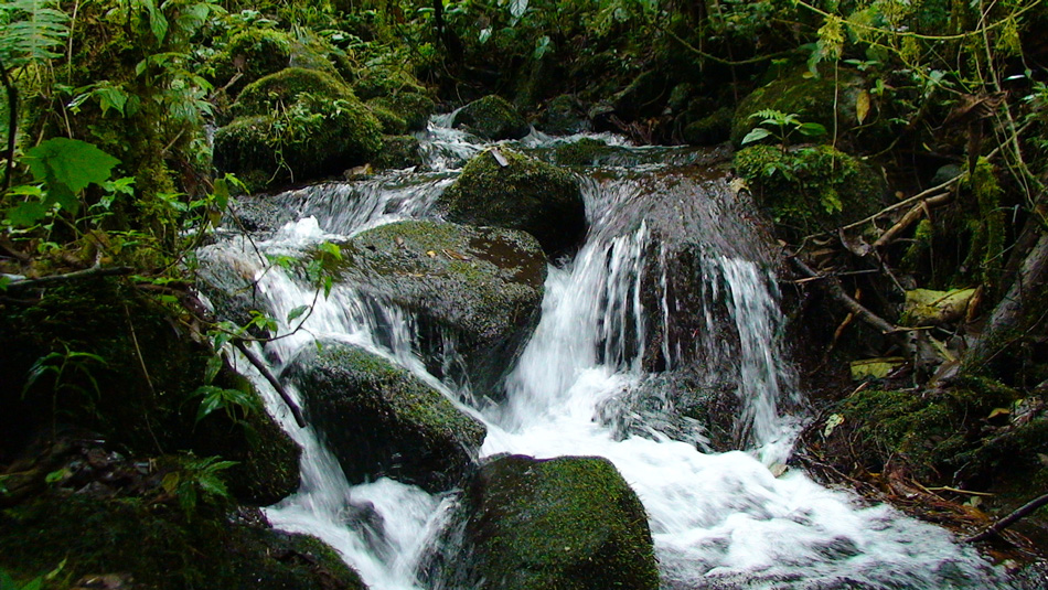 The river by the entrance road, February 2008