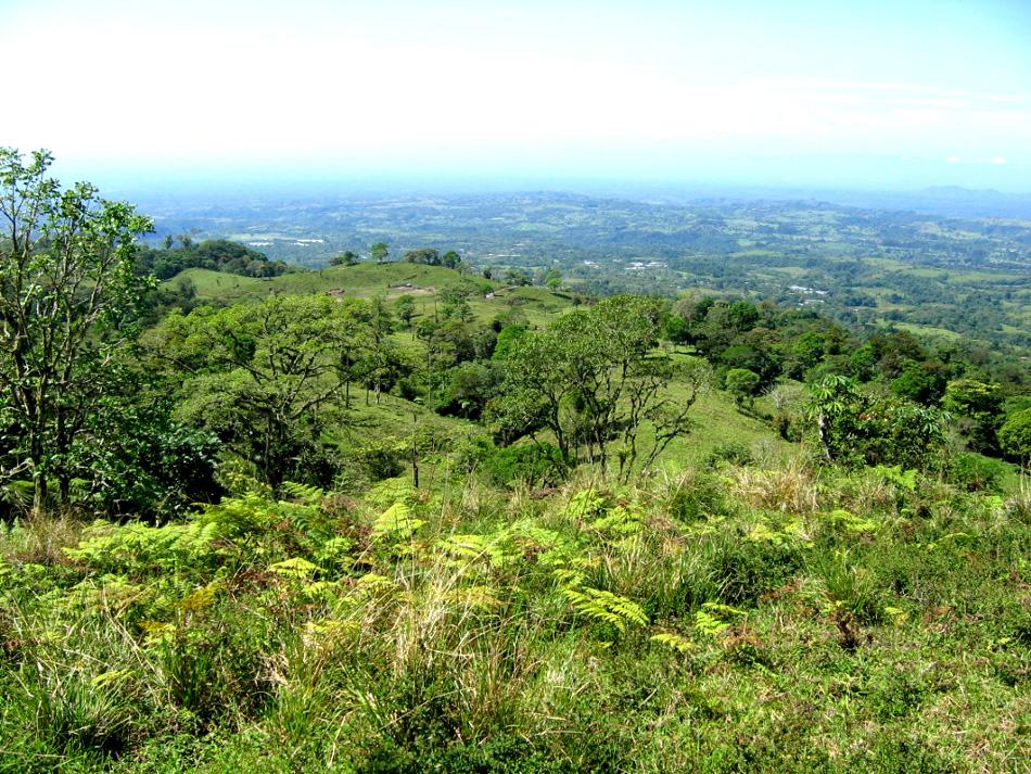 Looking down the land, towards the Pacific